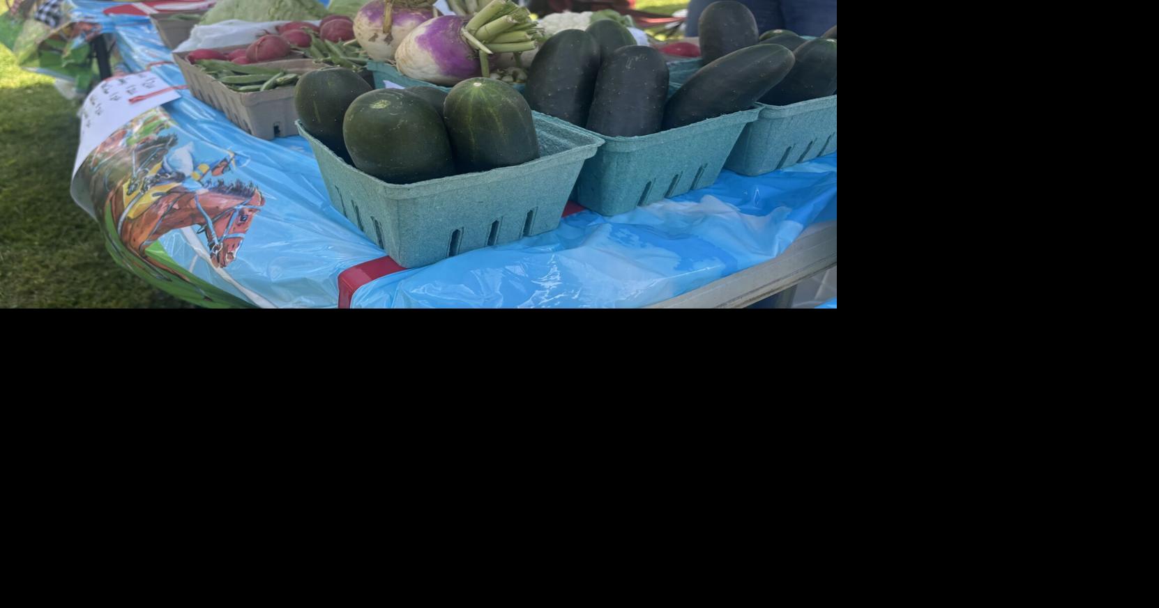Read MoreLivingston County Farmers’ Market opens, bringing fresh food, family-friendly event