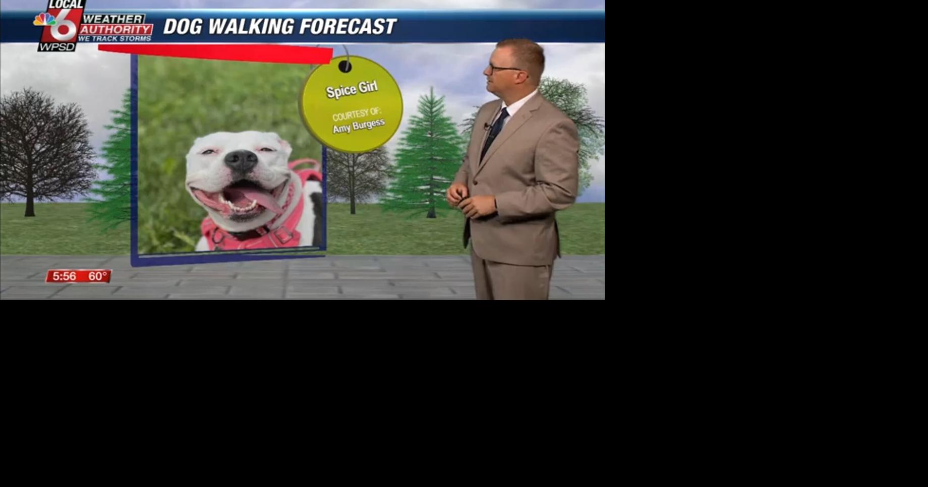 Dog walking forecast 5.30.25