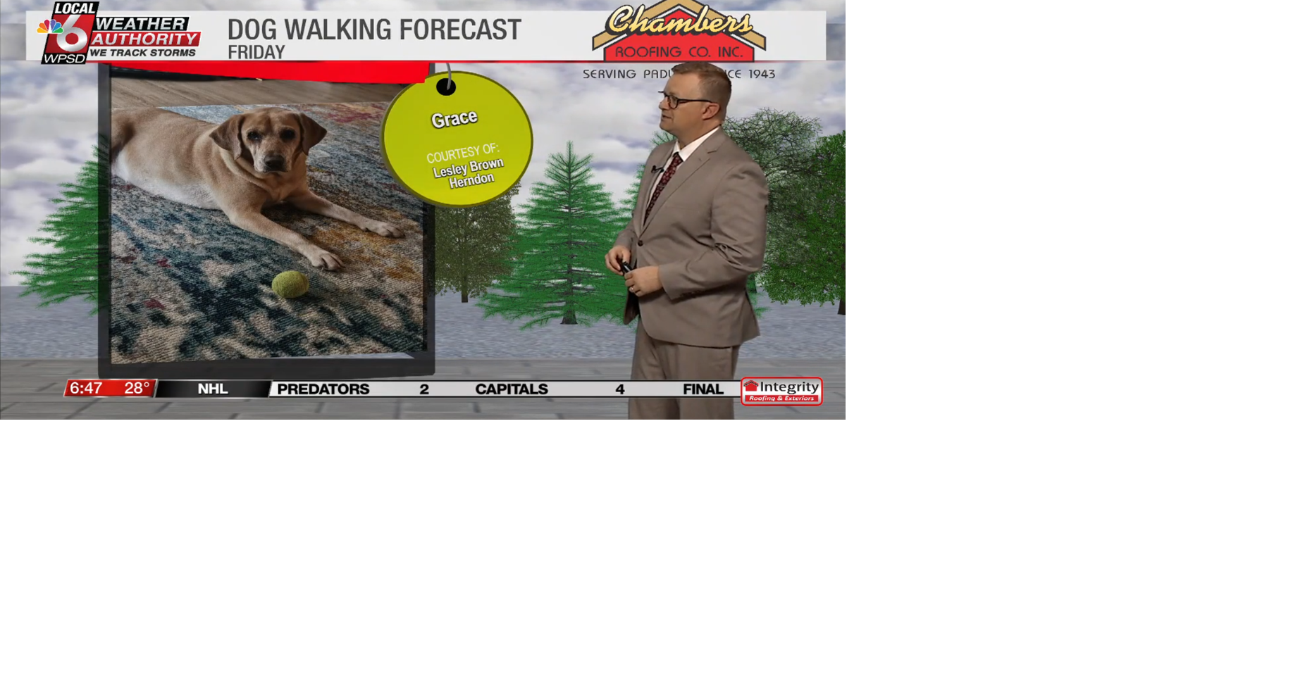 Dog walking forecast 2.6.26