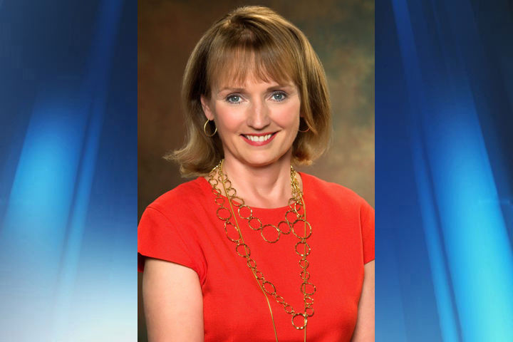 A look at the Republican candidates for Tennessee governor | News ...