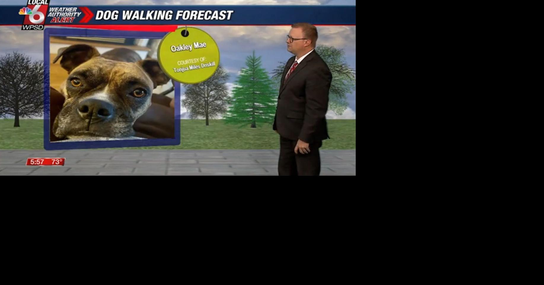 Dog walking forecast 5.15.25 | Weather