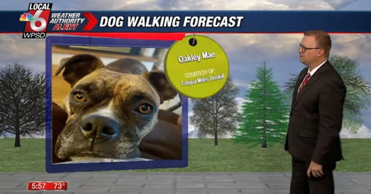 Dog walking forecast 5.15.25 | Weather Dog walking forecast 5.15.25 | Weather