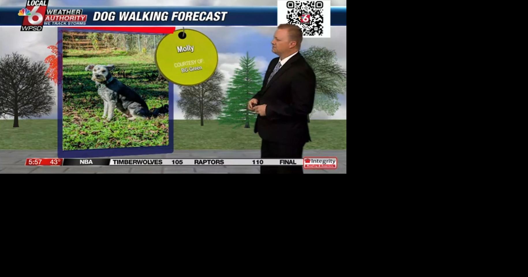 Dog walking forecast 11.22.24 | Weather