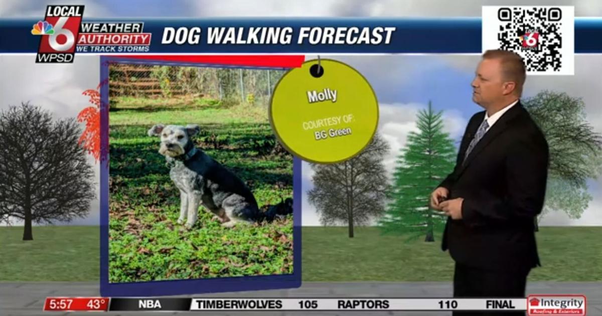 Dog walking forecast 11.22.24 | Weather Dog walking forecast 11.22.24 | Weather