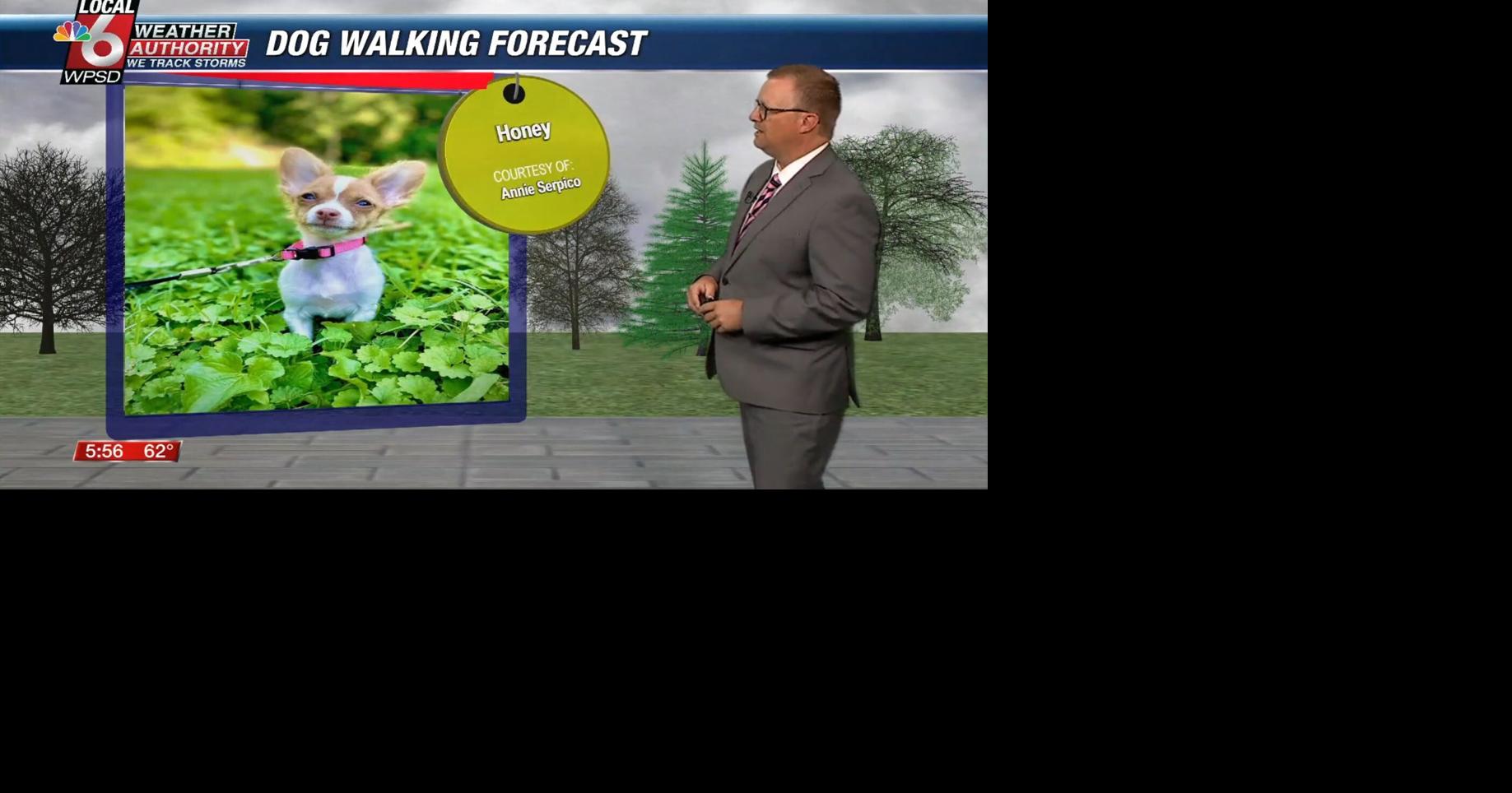 Dog walking forecast 5.27.25