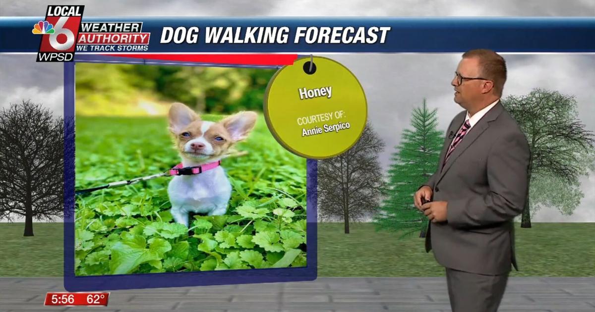 Dog walking forecast 5.27.25 Dog walking forecast 5.27.25