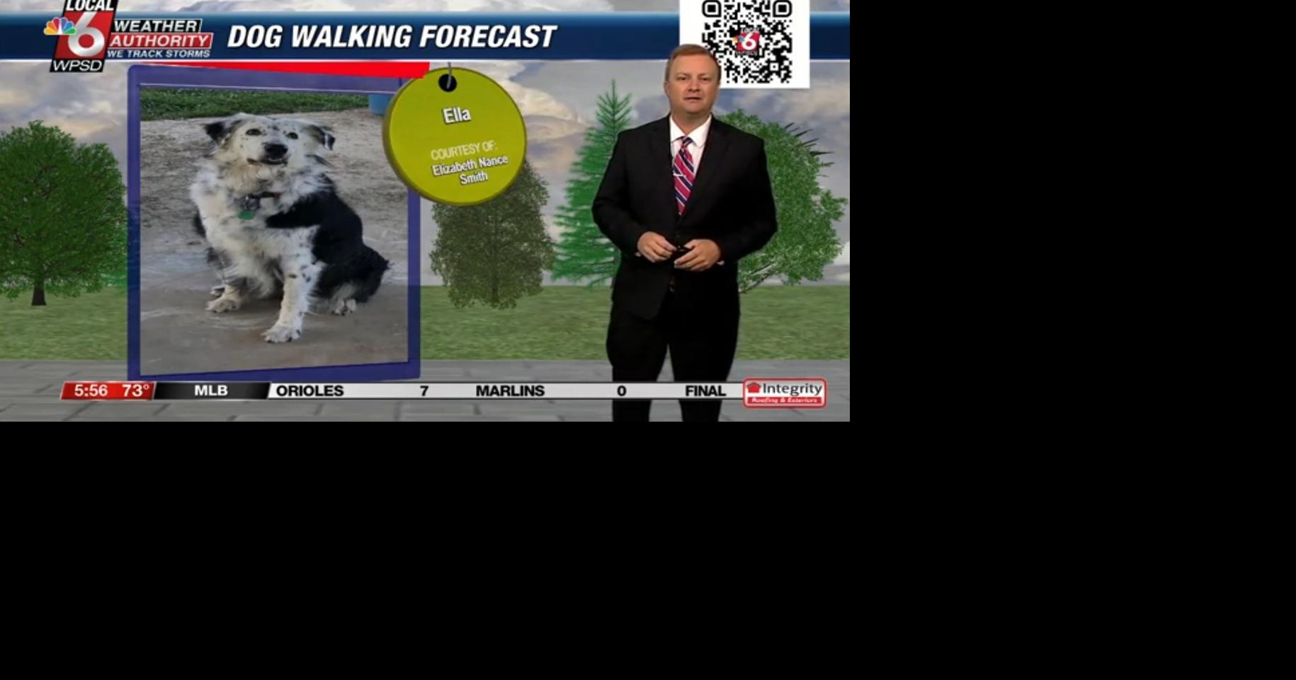 Dog walking forecast 7.26.24 | 2024 Election