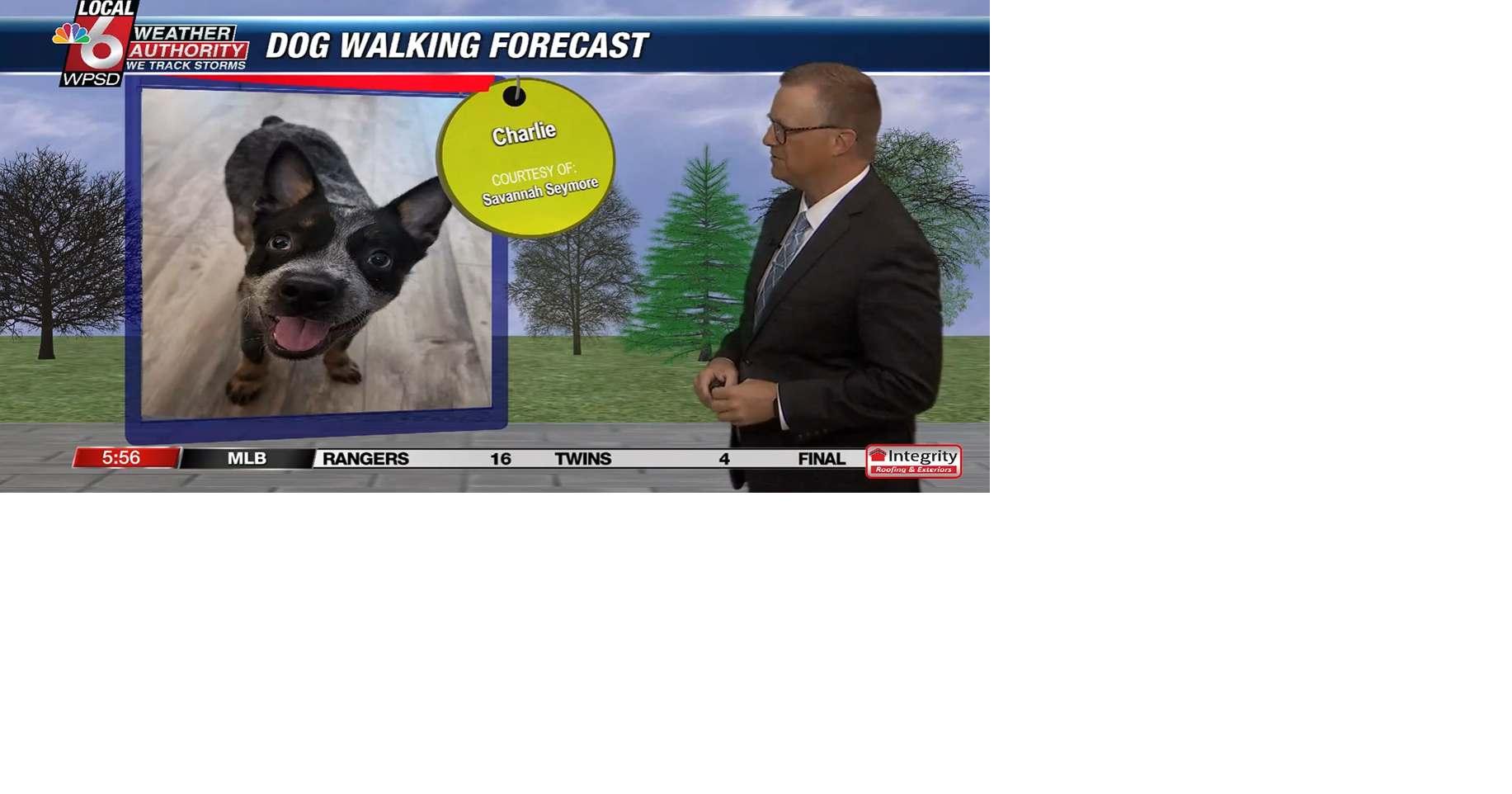 Dog walking forecast 5.11.25