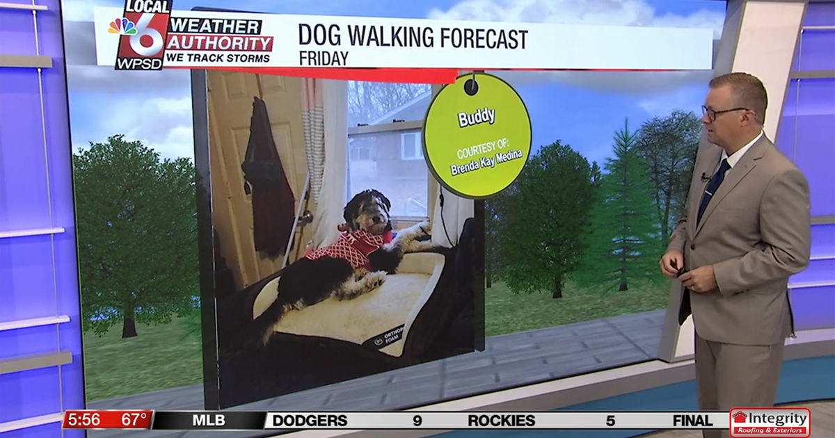 Dog walking forecast 8.22.25 | Weather Dog walking forecast 8.22.25 | Weather