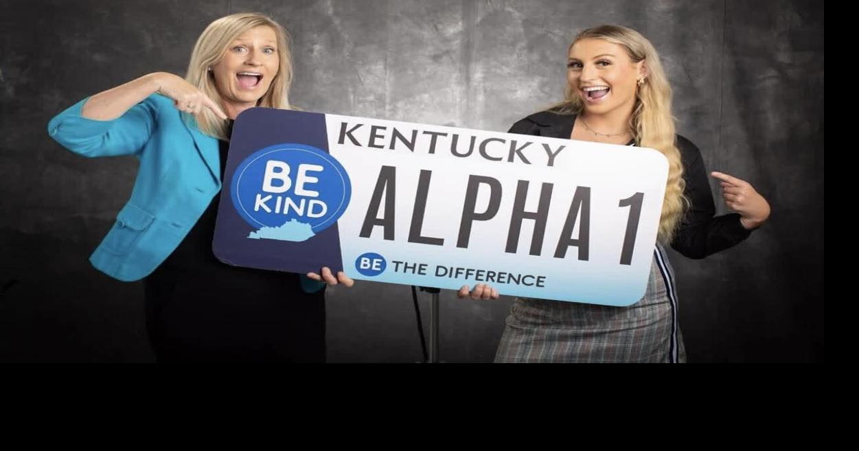 Be Kind license plate raises $18K for youth mental health centers