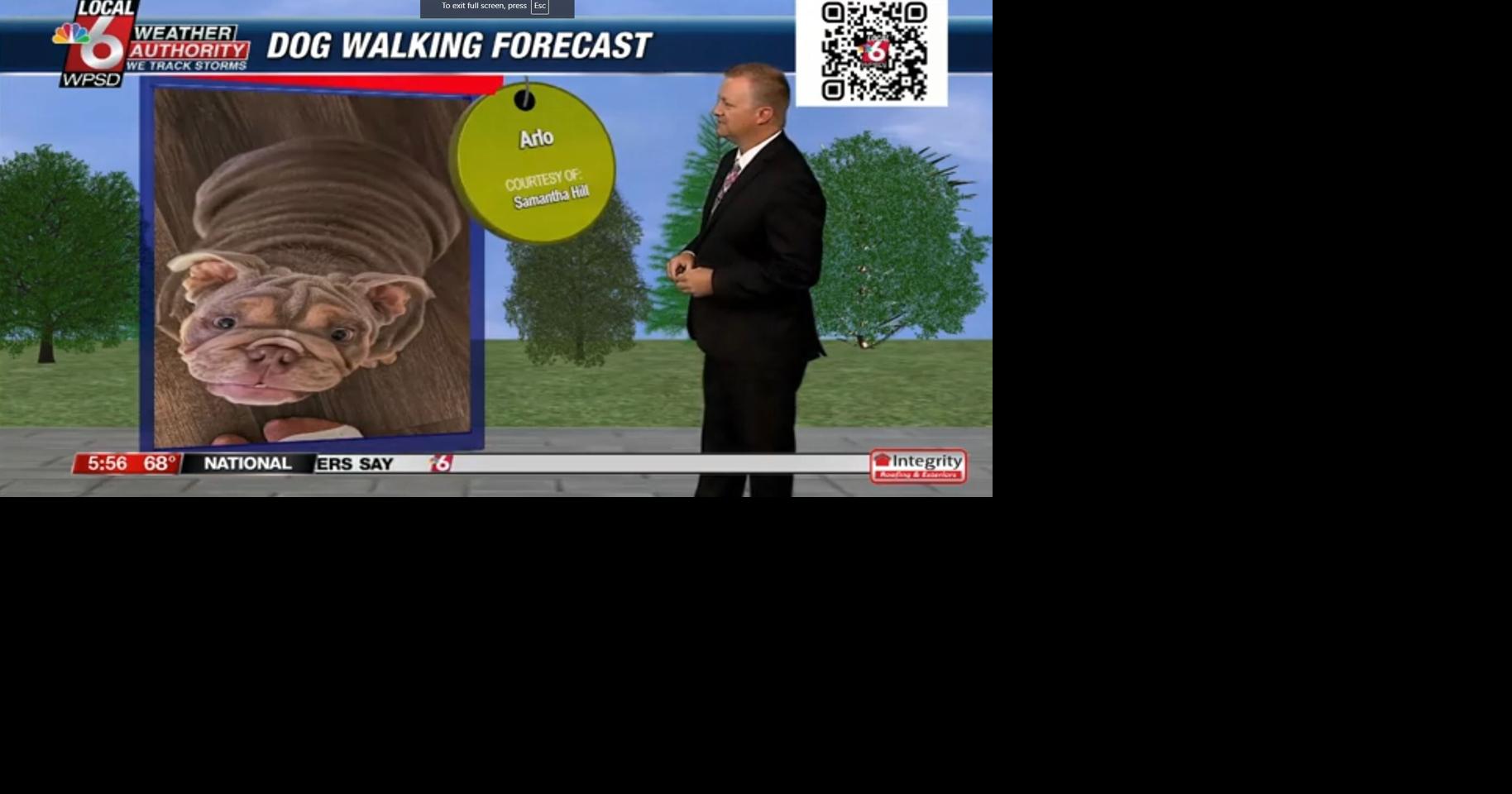 Dog walking forecast 7.18.24 | Weather