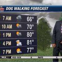 Dog Walking Forecast 5.23.24 | Dog Walking Forecast Dog Walking Forecast 5.23.24 | Dog Walking Forecast