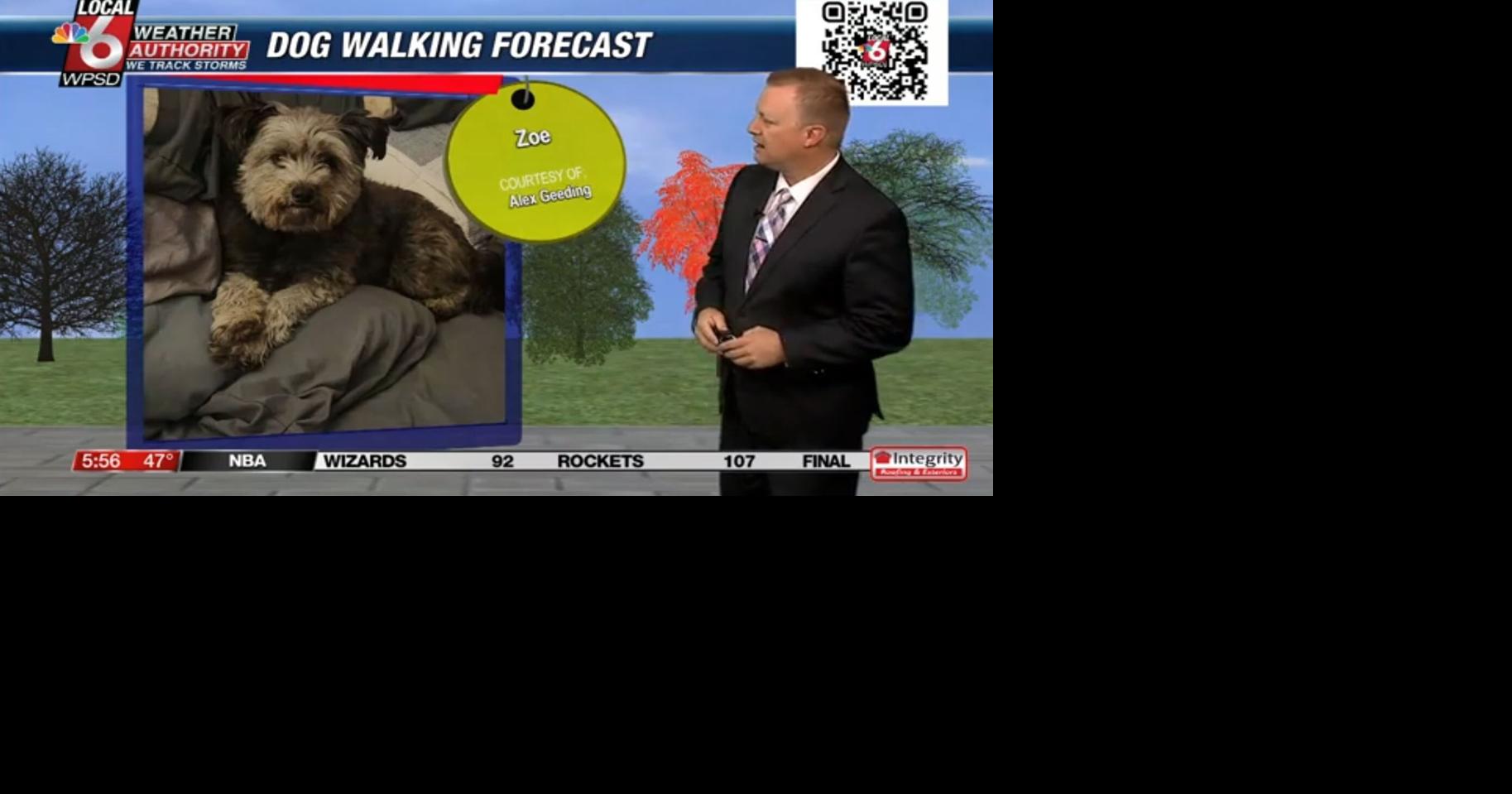Dog walking forecast 11.12.24