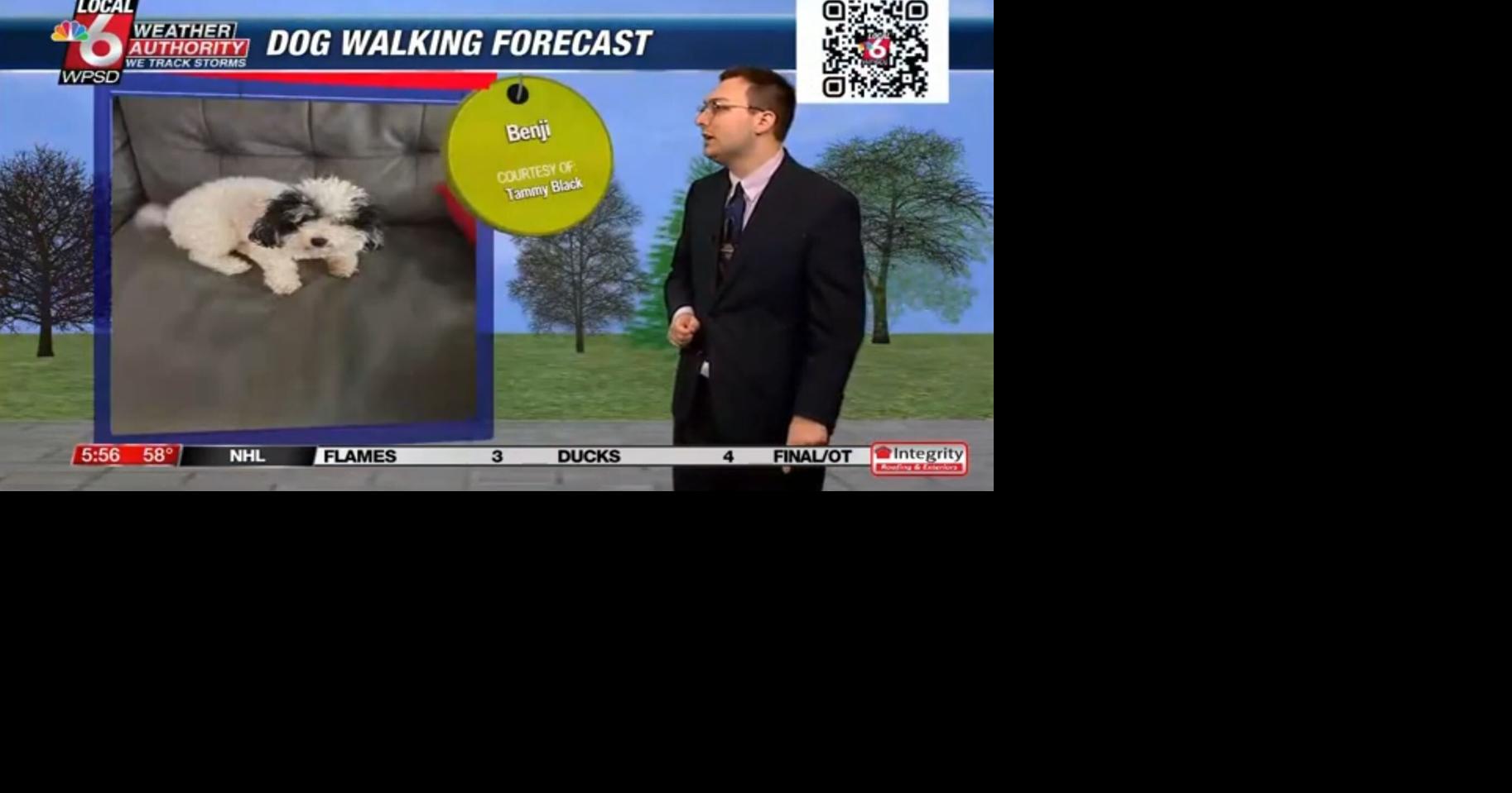 Dog walking forecast 4.10.25 | Weather