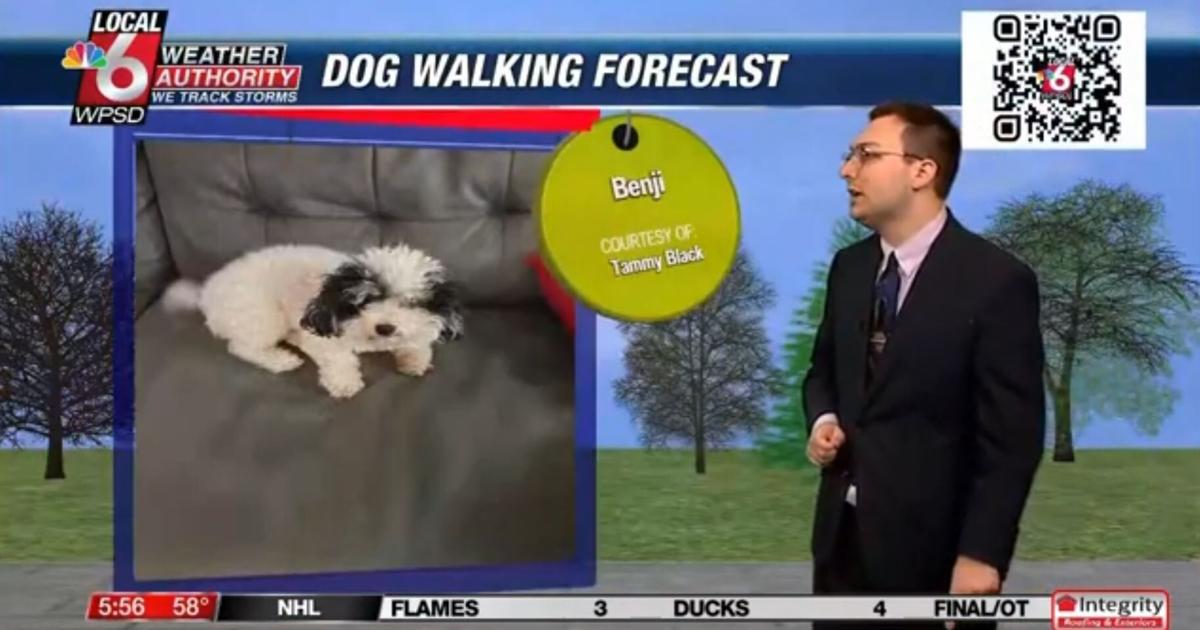 Dog walking forecast 4.10.25 | Weather Dog walking forecast 4.10.25 | Weather