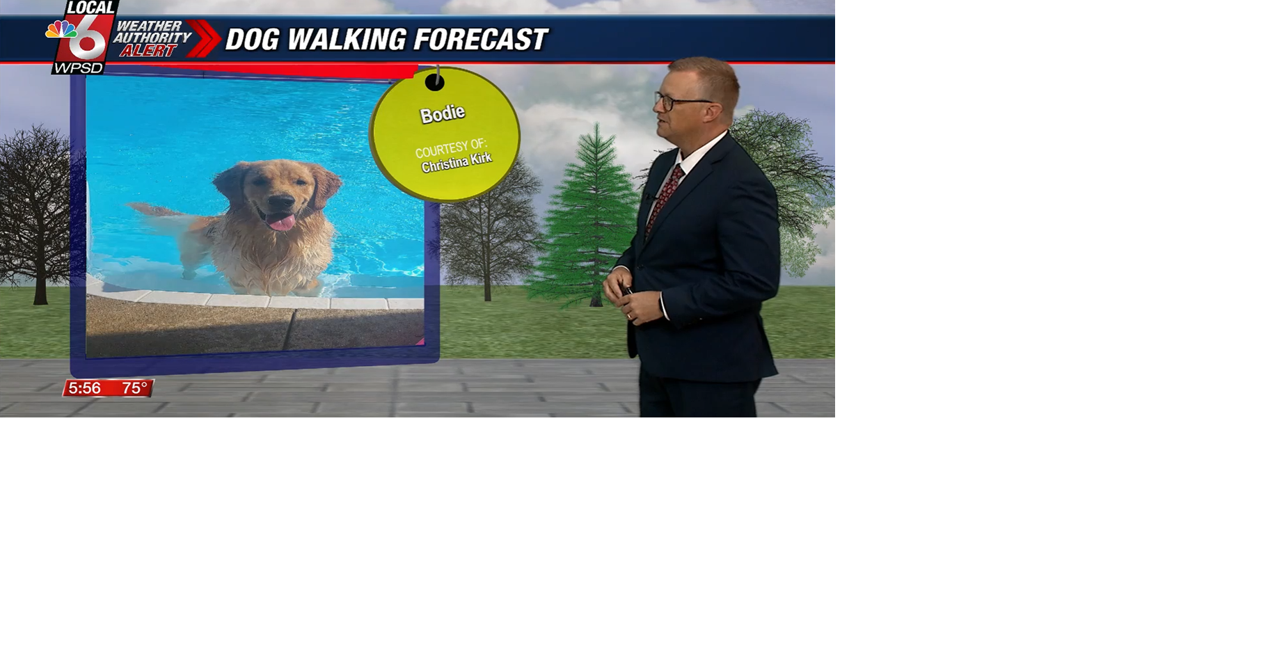 Dog walking forecast 6.27.26