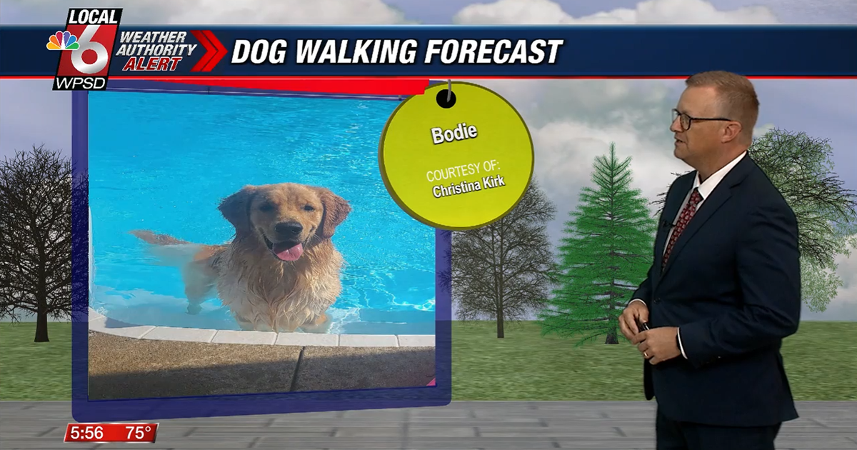 Dog walking forecast 6.27.26 Dog walking forecast 6.27.26