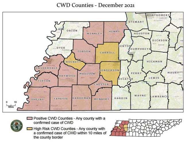 Deer with chronic wasting disease confirmed in Weakley County, Tennessee News WPSD Local 6