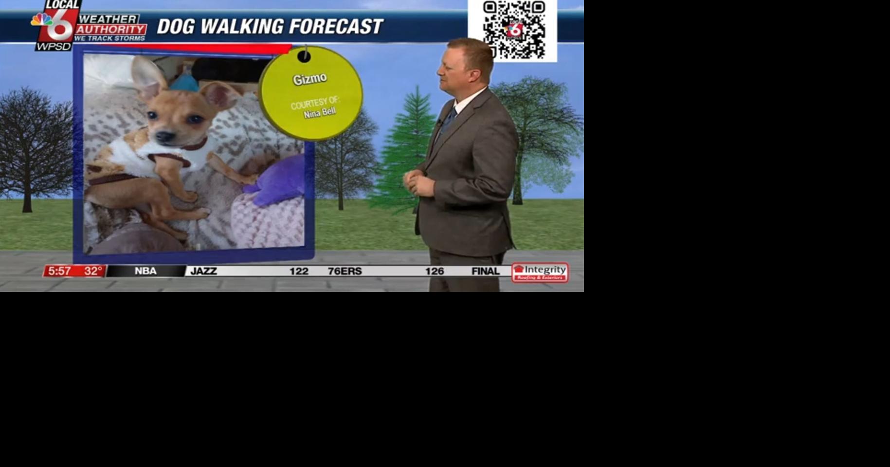 Dog walking forecast 3.10.25