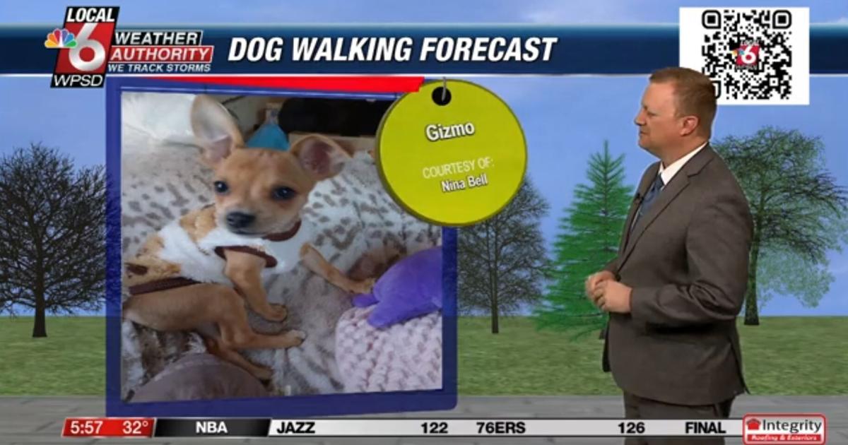 Dog walking forecast 3.10.25 Dog walking forecast 3.10.25