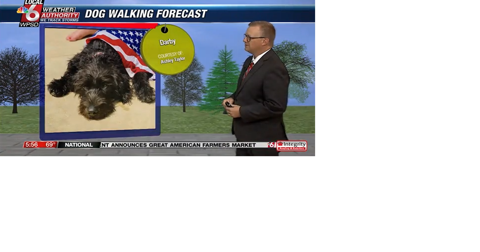 Dog walking forecast 7.4.25
