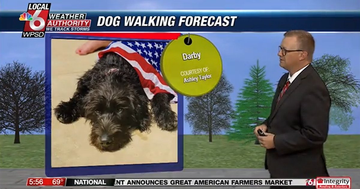 Dog walking forecast 7.4.25 Dog walking forecast 7.4.25
