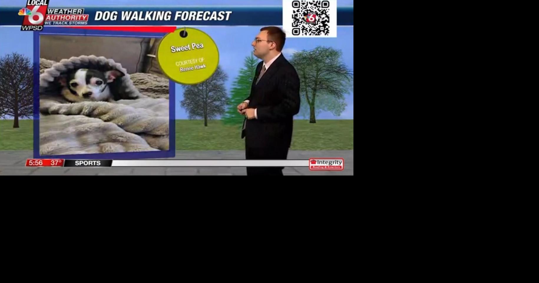 Dog walking forecast 4.8.25 | Weather