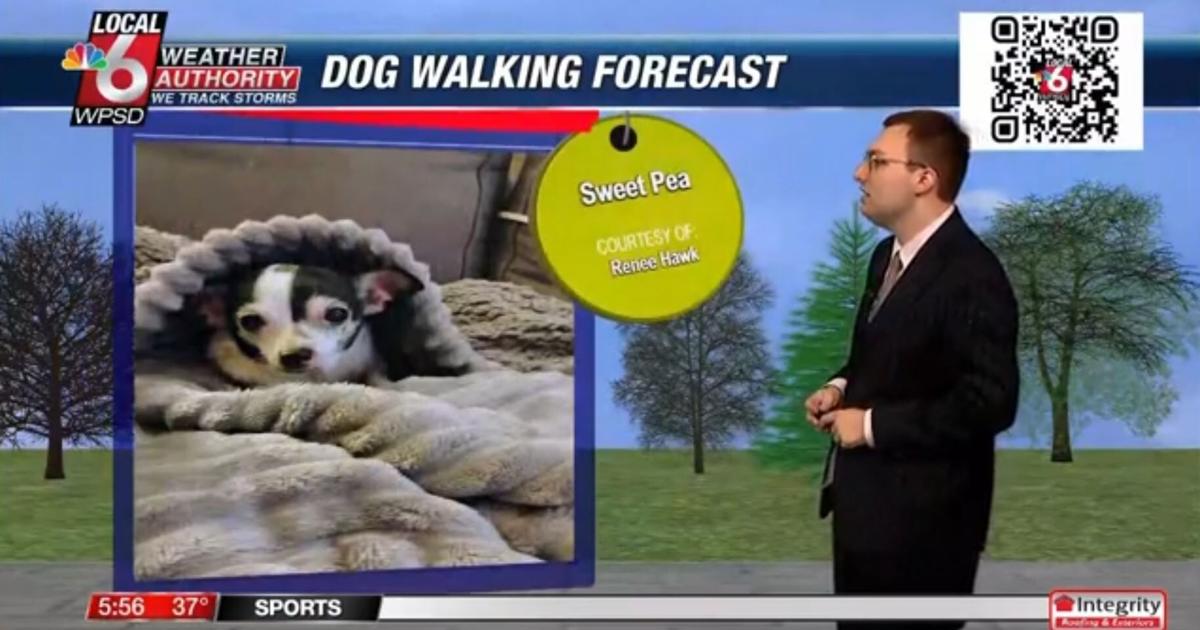 Dog walking forecast 4.8.25 | Weather Dog walking forecast 4.8.25 | Weather