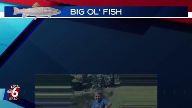 7/6 Big Fish