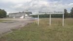 bluegrass downs