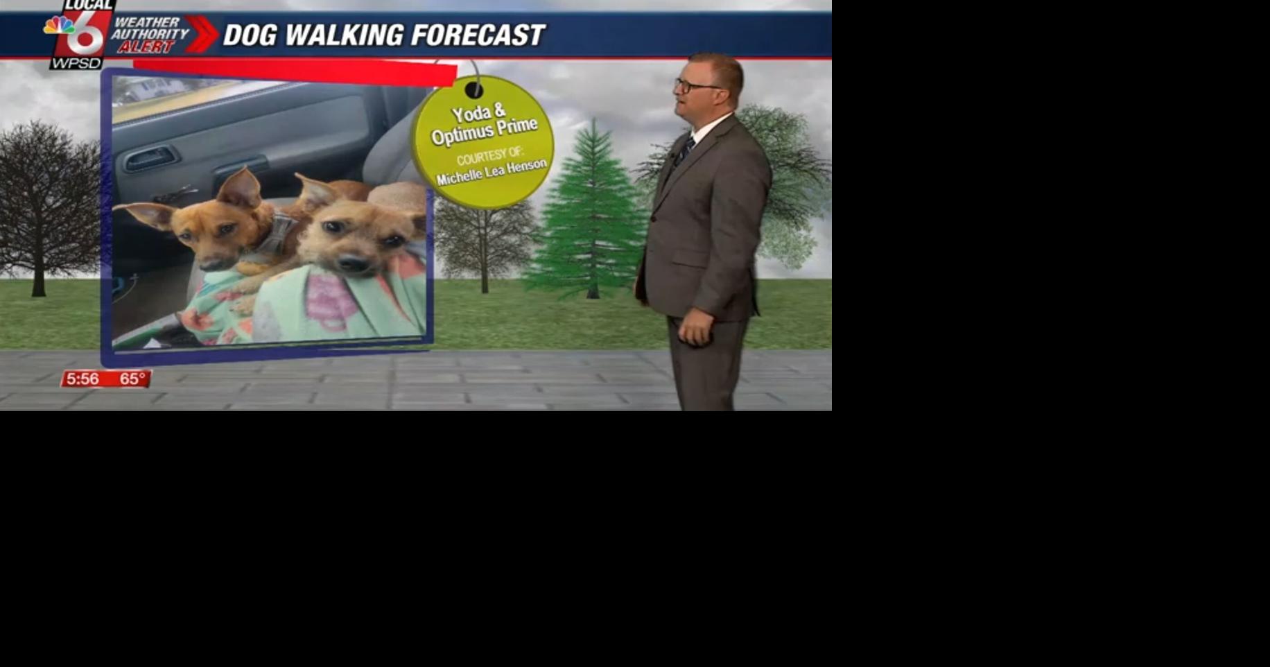 Dog walking forecast 5.20.25