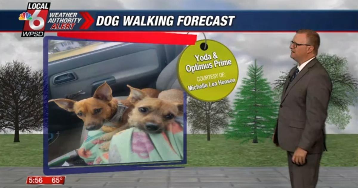 Dog walking forecast 5.20.25 Dog walking forecast 5.20.25