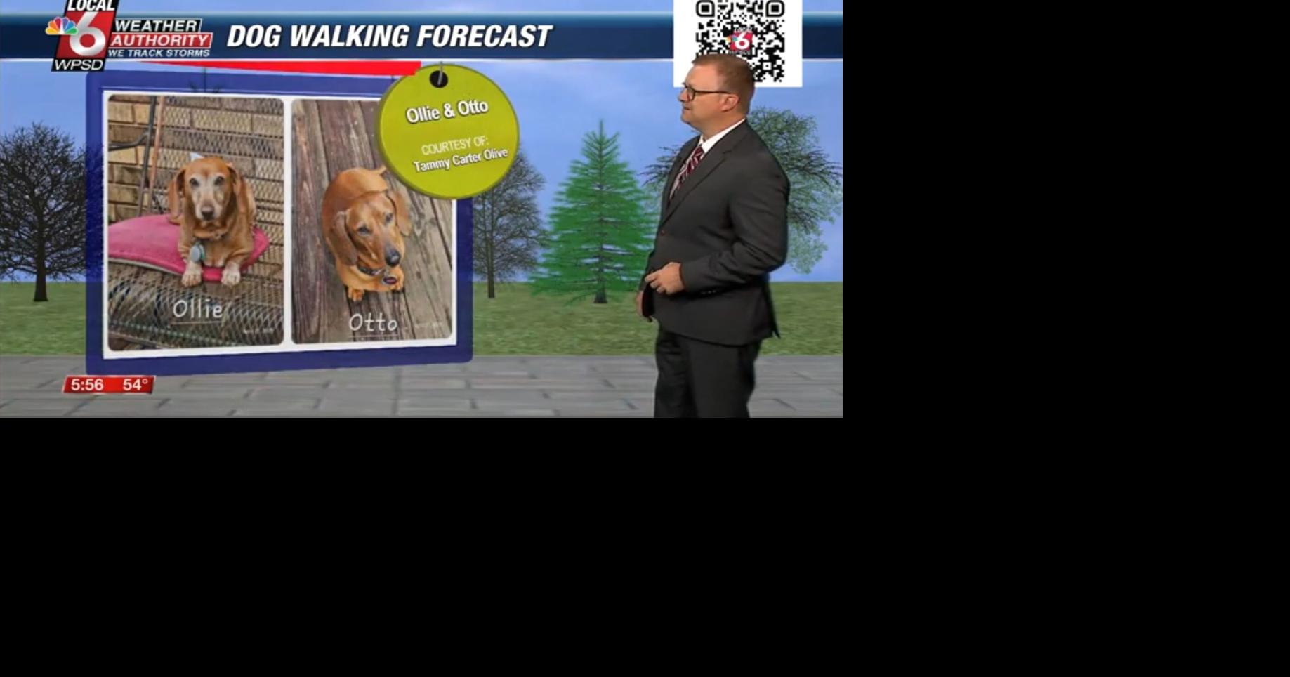 Dog walking forecast 4.28.25