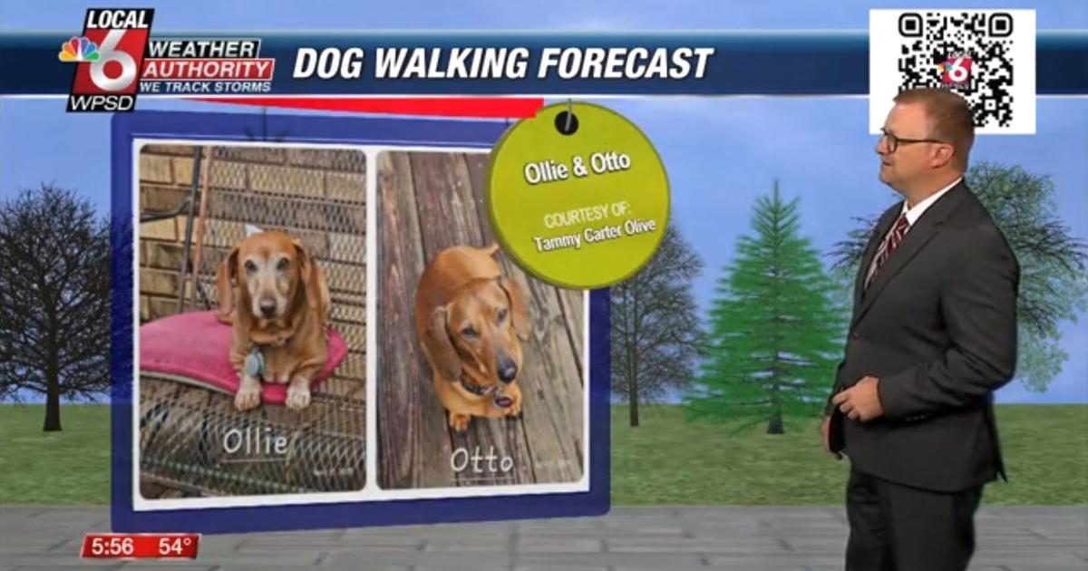 Dog walking forecast 4.28.25 Dog walking forecast 4.28.25