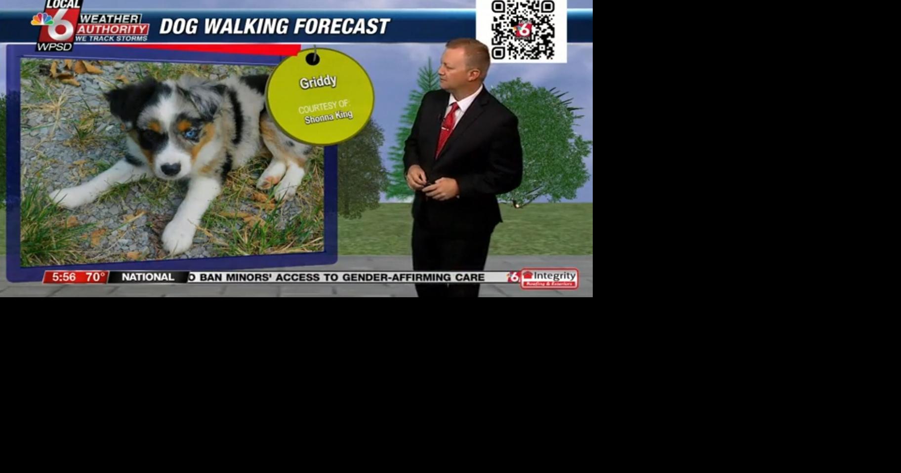 Dog walking forecast 8.27.24