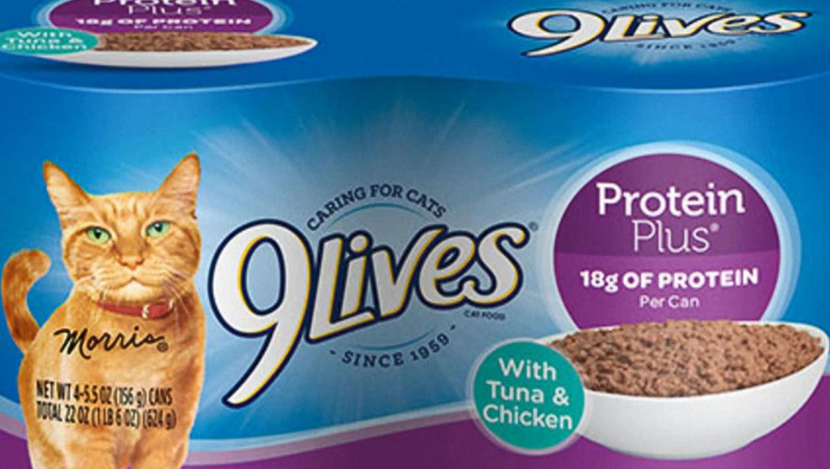 Some 9 Lives Canned Cat Food Recall News Wpsd Local 6