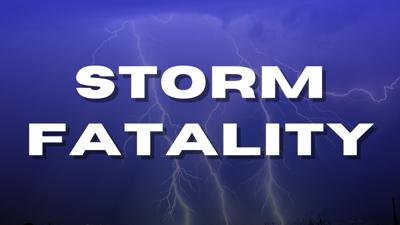 Woman dies after tree falls on her car during Saturday’s severe weather ...