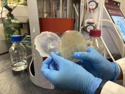 SIU researchers turn plastic waste into biodegradable material