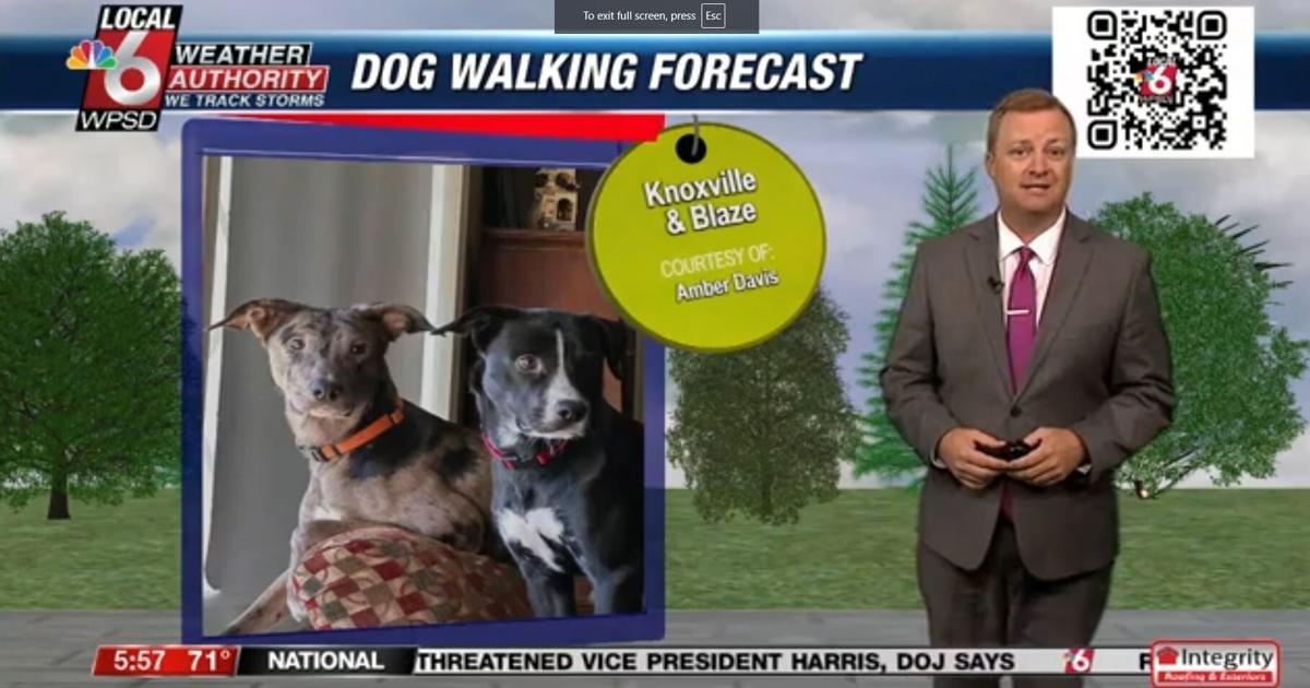 Dog walking forecast 8.6.24 | Weather Dog walking forecast 8.6.24 | Weather