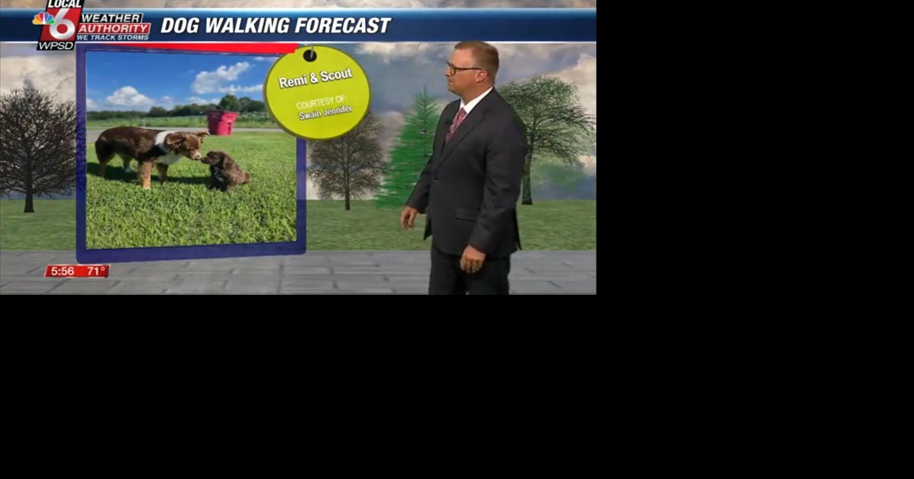 Dog walking forecast 6.5.25