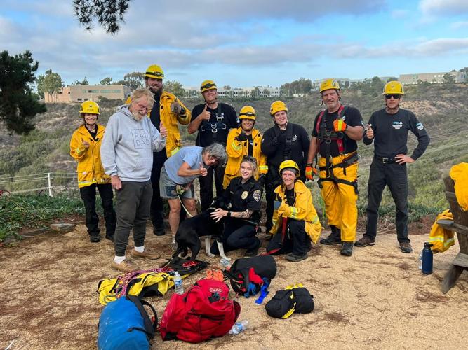 Deaf dog rescued after falling down California ravine, family calls it ...
