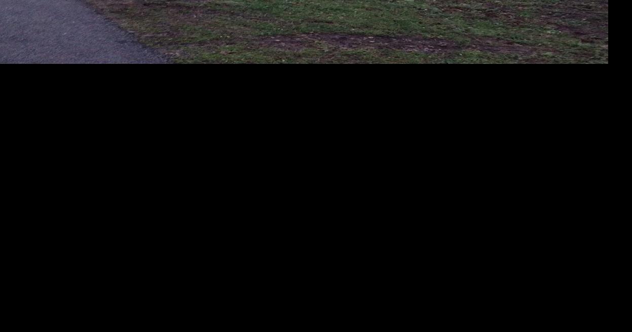 Photos of storm damage in Glen Allen, Missouri, from Bollinger County resident Joshua Wells