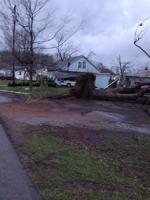 Photos of storm damage in Glen Allen, Missouri, from Bollinger County resident Joshua Wells
