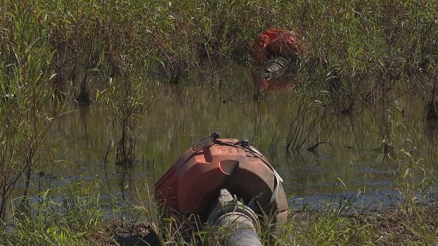 Marion, KY residents report smelly, discolored water; high water bills