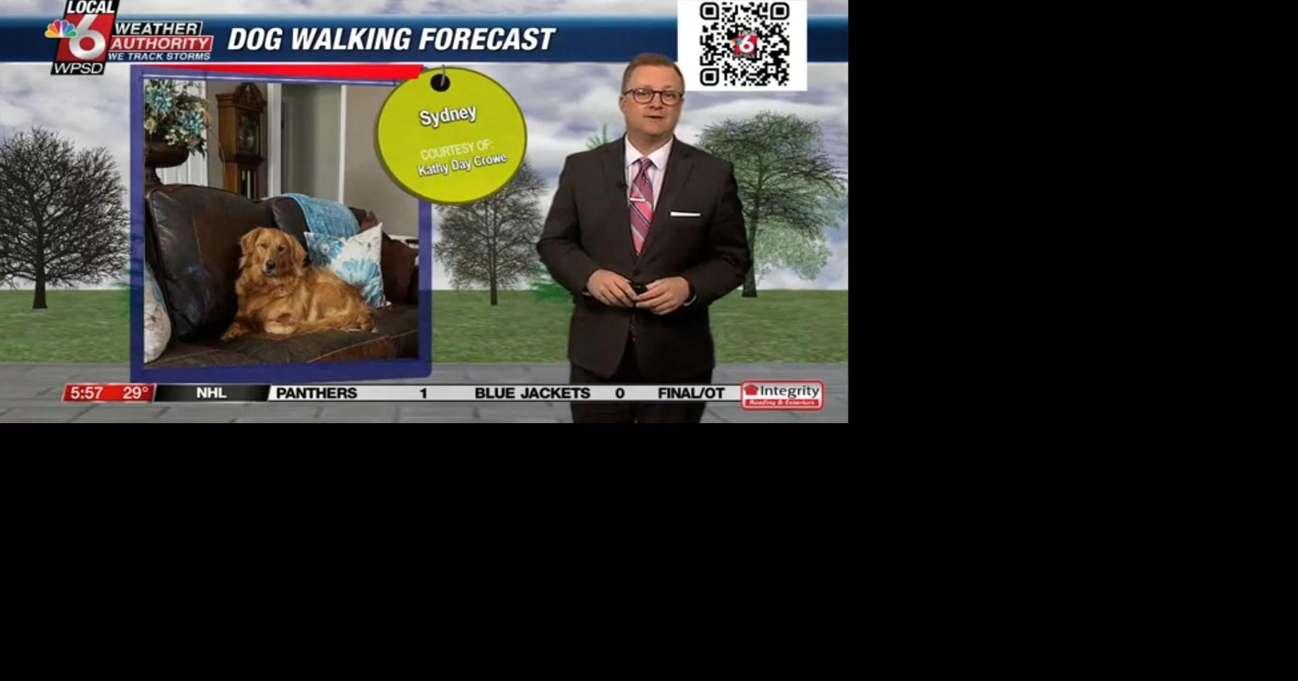 Dog walking forecast 3.21.25 | Weather