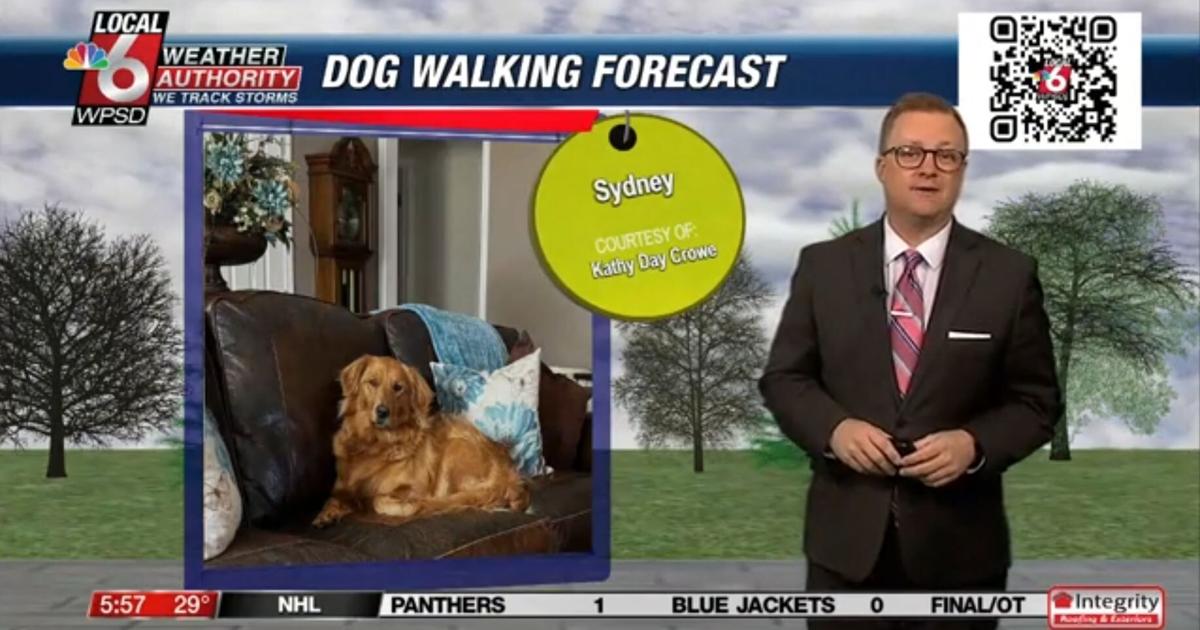 Dog walking forecast 3.21.25 | Weather Dog walking forecast 3.21.25 | Weather