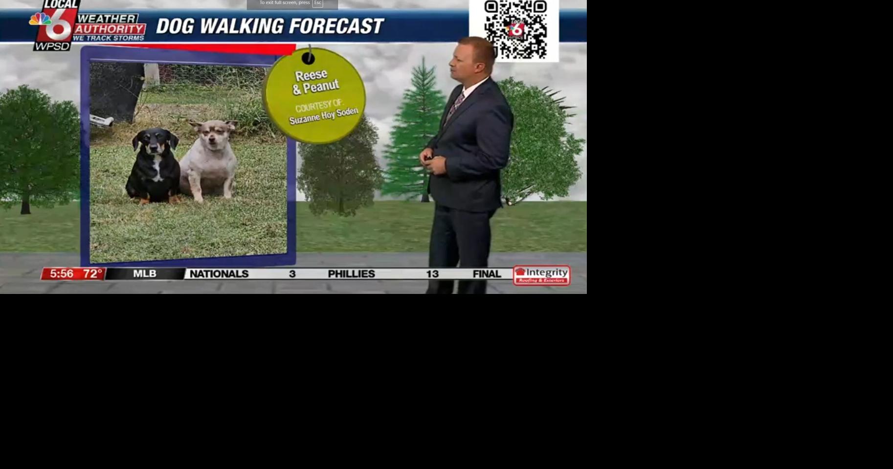 Dog walking forecast 8.16.24 | Weather
