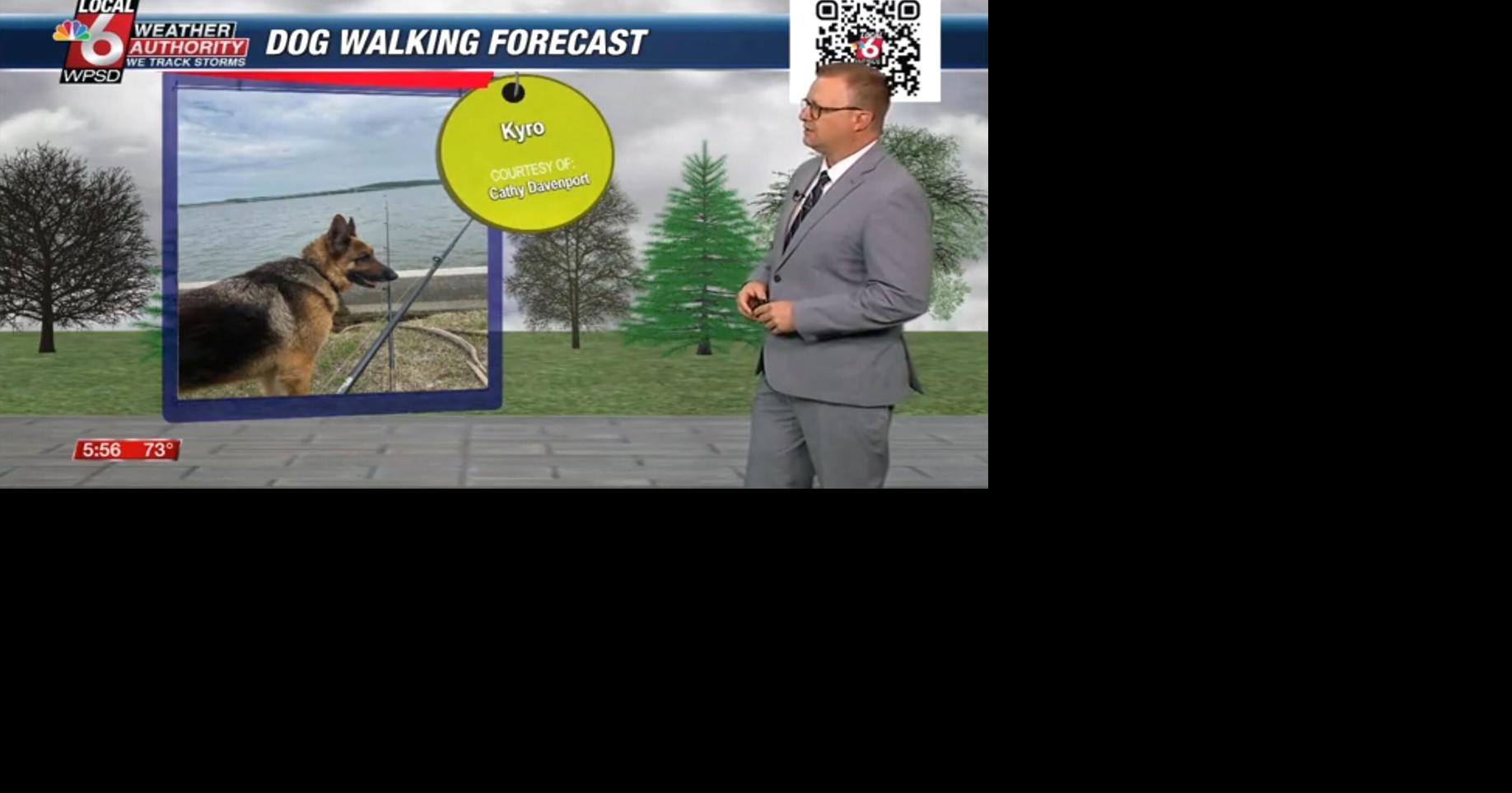 Dog walking forecast 4.29.25