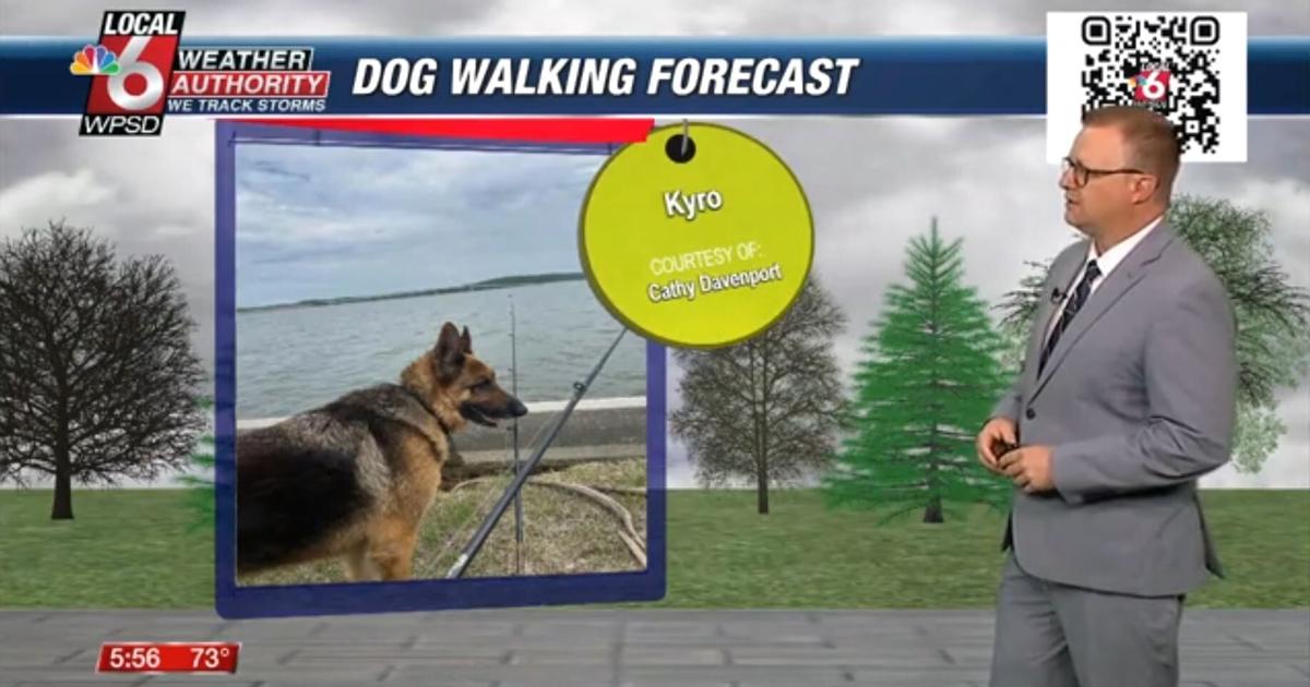 Dog walking forecast 4.29.25 Dog walking forecast 4.29.25