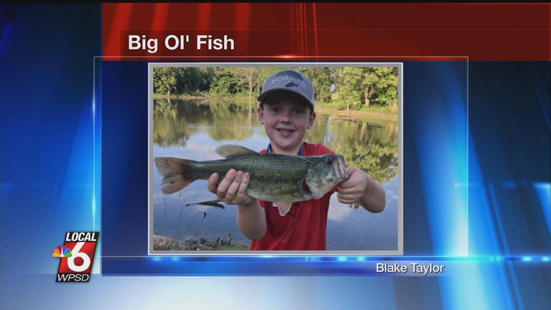 7 16 Big Ol Fish Sports Wpsd Local 6
